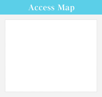 Access Map